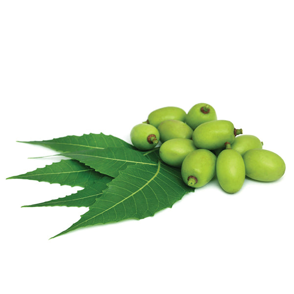 Neem Oil