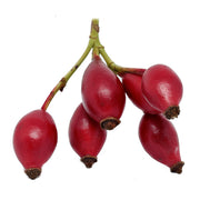 Rosehip Oil